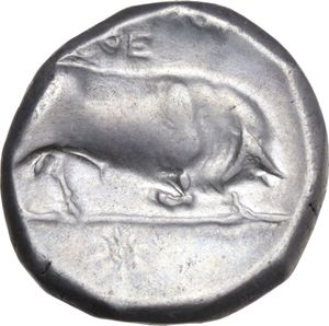 reverse: Greek Italy.  Southern Lucania, Thurium.  AR Stater, c. 350-300 BC.