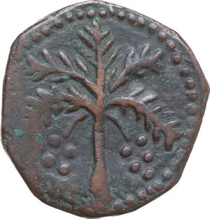 reverse: Messina. Guglielmo II (1166-1189). Trifollaro, 1180-1185.