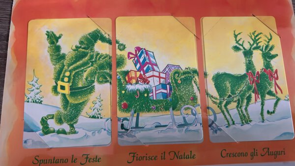 Immagine aggiuntiva 1