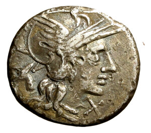 obverse: JUNIA. M. Junius Silanus (145 a.C.) Denario. Testa di Roma a ds.; dietro, testa d asino R/ I Dioscuri a cavallo verso ds. B. 8; Cr. 220/1.  (g. 3,67)  AR 