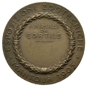 reverse: Medaglie Italiane. Mantova. Medaglia Esposizioni Zootecniche 1905. AE (8,95 g - 27,5 mm). qSPL