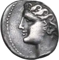 lot 14