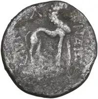 lot 204