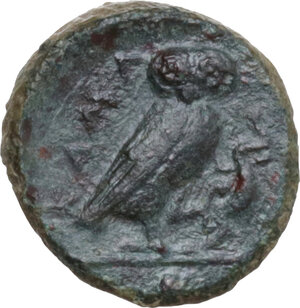 reverse: Kamarina. AE Onkia, 425-405 BC