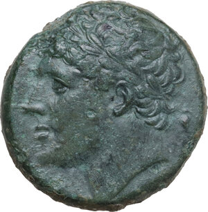 obverse: Syracuse. Hieron II (274-215 BC). AE 27 mm