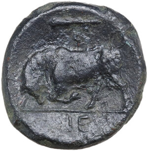 reverse: Syracuse. Hieron II (274-215 BC). AE 20 mm