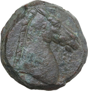 reverse: AE 18.5 mm, 300-264 BC
