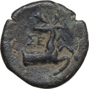reverse: Pisidia, Selge. AE 14 mm, 2nd-1st century BC