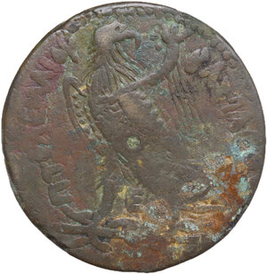 reverse: Egypt, Ptolemaic Kingdom. Ptolemy III Euergetes (246-222 BC). AE 38 mm, Alexandria mint