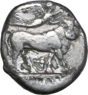 reverse: Central and Southern Campania, Neapolis. Fourreè (?) Didrachm, c. 300-275 BC