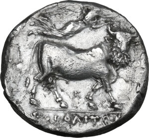 reverse: Central and Southern Campania, Neapolis. Fourreè Didrachm, c. 300 BC