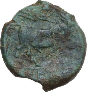 reverse: Central and Southern Campania, Neapolis. AE 18 mm. c. 275-250 BC. Coeval counterfeit (?)