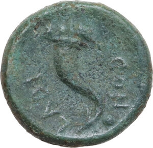 reverse: Eastern Italy, Larinum. AE Uncia, c. 210-175 BC