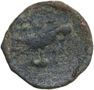 reverse: Northern Apulia, Salapia. AE 17 mm. c. 225-210 BC