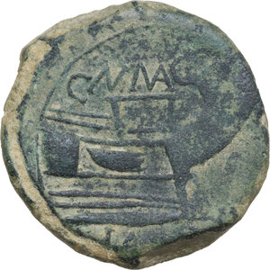 reverse: Sextus Pompeius Magnus Pius. AE Unit. Tarraconensis, c. 46-45 BC