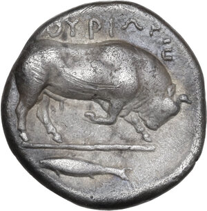 reverse: Southern Lucania, Thurium. AR Didrachm, c. 443-400 BC