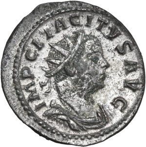 obverse: Tacitus (275-276). AE Antoninianus, Gaul mint