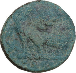 reverse: Ostrogothic Italy. Theoderic (493-526). AE 40 Nummi, Rome mint
