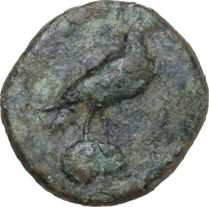 obverse: Bruttium, Kroton. AE 16 mm, circa 425-375 BC