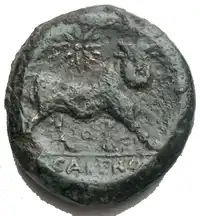 Reverse image
