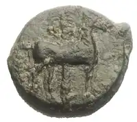 Reverse image