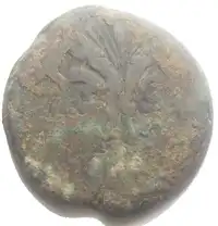 Reverse image