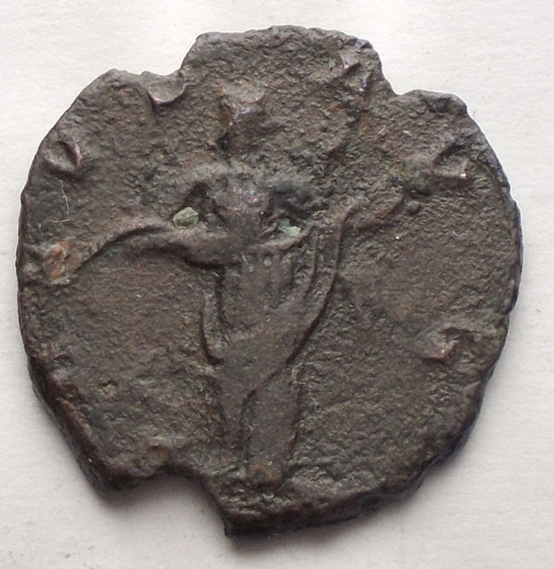 Immagine aggiuntiva 2