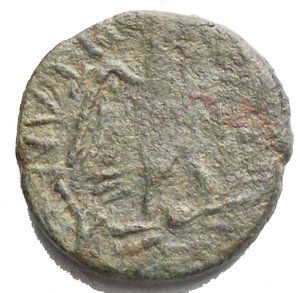 obverse: Panormos Ae Zeus/Aquila g 2,31