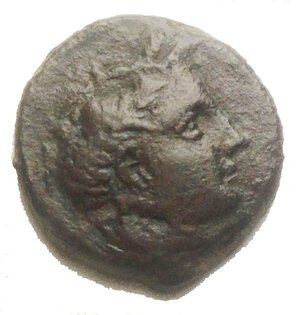 obverse: Mondo Greco Ae da catalogare g 2,95. mm 14,6