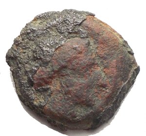 obverse:  Mondo Greco. Ae g 3,15 mm 18,04 x 16,5 Segesta ?