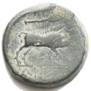 reverse: APULIA, Arpi. Circa 325-275 BC. Æ (19.67 mm, 7.84 g). Laureate head of Zeus left; thunderbolt to right / Boar standing right; above, spearhead right. HN Italy 642.