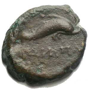 obverse: Mondo Greco - Apulia. Salapia. III° Sec a.C. Ae. D/ Cavallo a destra. R/ Delfino a destra. Etnico retrogrado?. Peso gr. 4,73. Diametro mm. 19,6 x 17,2. BB+. Patina verde intenso. R. 