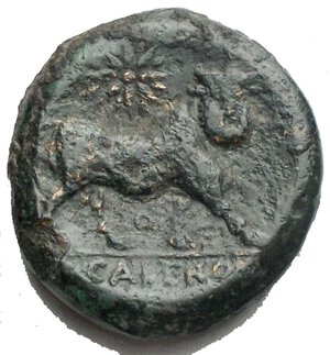 reverse: Campania. Cales. ca 265-240 a.C. AE20. AE. D/ Testa laureata di Apollo a sinistra. R/ Toro androcefalo a destra, sopra stella. In esergo CALENO. Peso 7,25. mm 18,9 x 20,4 gr. BB+. Buon esemplare. Patina verde intenso