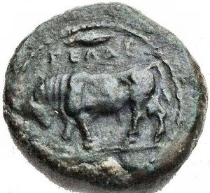 reverse: Mondo Greco - Sicilia. Gela. Oncia, 420-405 a.C. D/ Toro a sinistra. In esergo: un globetto. R/ Testa del dio fluviale Gelas a destra. SNG ANS 108. gr 1,03. AE. SPL.