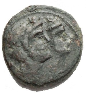 obverse: Mondo Greco - Sicilia. Leontini. ca. 207-200 a.C AE g 1,64. d/Teste di Apollo e Artemide a ds. r/ Due spighe di orzo. qBB. Patina verde scuro. Raro