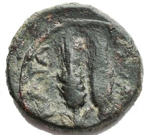 reverse: Mondo Greco - Sicilia. Leontini. ca. 207-200 a.C AE g 1,64. d/Teste di Apollo e Artemide a ds. r/ Due spighe di orzo. qBB. Patina verde scuro. Raro