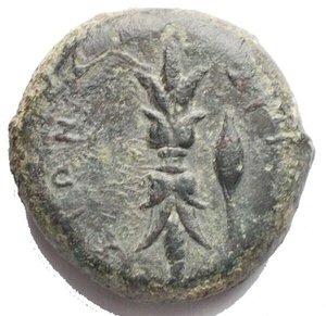 reverse: SICILY, Syracuse. Timoleon, 344-317 BC. AE Hemilitron (16,3 gm). Laureate head of Zeus / Thunderbolt, barley grain to right. CNS.71. Good VF Green patina