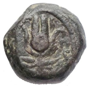 obverse: PTOLEMAIC KINGS of EGYPT. Ptolemy Apion. King of Kyrenaika, c. 104/1–96 BC. Æ Chalkous (9,15 mm; 2,48 g). Kyrene mint. Diademed head of Zeus-Ammon right / Headdress of Isis. Svoronos 1845 (Ptolemy XIII–Alexandreia); Weiser –; SNG Copenhagen 685-90 (Uncertain mint in Cyprus); Noeske 392-4 (Indeterminate mint in Cyprus or Alexandria); Asolati 113. VF, brown green patina. Rare.