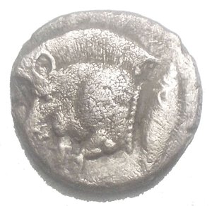 reverse: Mysia. Kyzikos circa 480 BC. Diobol AR 10,3 x 10,8 mm. 1,03 g Forepart of boar left with short mane and dotted truncation, to right, tunny  / Head of roaring lion left with bristling mane, outstretched tongue, all within incuse square. Very Fine