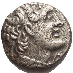 obverse: Regno Tolemaico. Tetradramma Ag  g 12,13