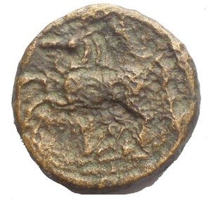 reverse: ANONYMOUS, before 211 BC. Litra, about 234-231 BC. AE 2.91 g. 15.5 mm. Laureate head of Apollo r. Rev. ROMA Horse prancing l. with loose reins. 