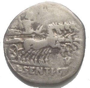 reverse: L. Sentius C.f  101 a.C. Denario. d/ ARG PVB Testa di Roma a destra. r/ L SENTI C F Giove su quadriga verso destra Peso 3,5 gr. Diametro 20,5 mm. qBB-BB