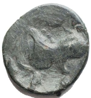 reverse: Monete Celtiche - Le tribù del Danubio, Dacia. Tetradracma. II sec. a.C. D/ Testa stilizzata di Zeus a destra. R/ Cavallo libero scalpitante a sinistra. Sopra cerchietto centrato da un punto. Cfr. Gobl, OTA Tav. 17.193, 10 e segg. Peso gr 8,63. Diametro mm 23,8 x 21,8  Buon BB+. Patina verde 