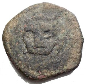 reverse: Zecche Italiane - Messina. Guglielmo II 1166-1189. Trifollaro. d/testa di leone. r/palma. Ae. g 10,2. BB+