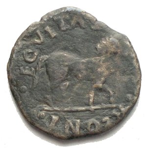 reverse: Cavallo in Ae da catalogare gr 1,76