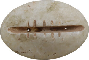 obverse: China.  Shang-Zhou Dynasty, 1200-800 BC (?).. Cowrie shell bone imitation