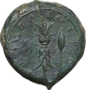 reverse: Syracuse.  Timoleon and the Third Democracy (344-317 BC).. AE 26 mm. 1st series, c. 343-339/8 BC