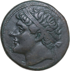 obverse: Syracuse.  Hieron II (274-215 BC).. AE 27 mm, c. 240-215 BC