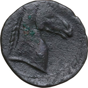 reverse: AE 18.5 mm, 300-264 BC