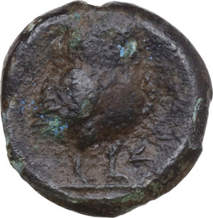 reverse: Inland Etruria, uncertain mint. AE 15 mm, 3rd century BC